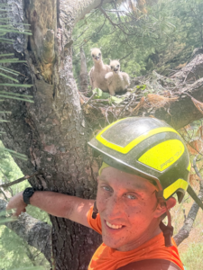 John Audretsch tree climber